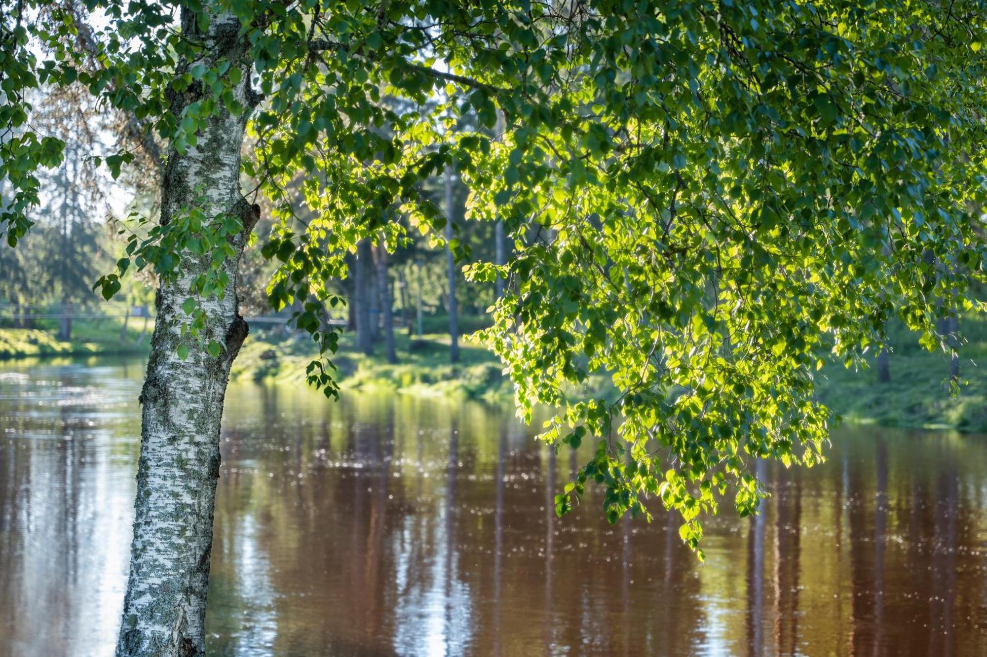 Spa Hotel Runni Iisalmi Zewnętrze zdjęcie